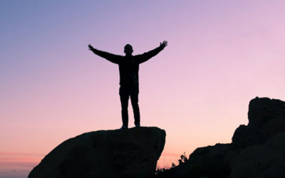 CIO Handbook: How to Thrive in the CIO Role