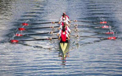 CIO Handbook: Unwavering Culture of Teamwork