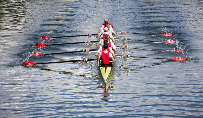 CIO Handbook: Unwavering Culture of Teamwork