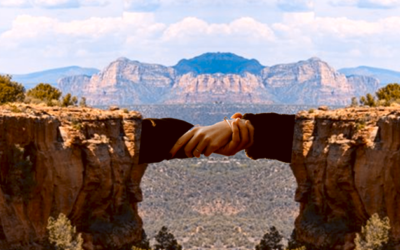 The Strategy-Execution Gap